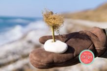 Art Up! – Werde kreativ #35